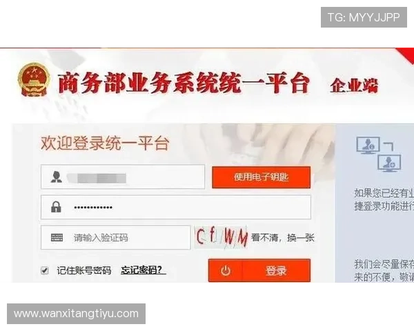 多米体育登录入口详细操作流程，指导用户快速完成账号登录与安全验证